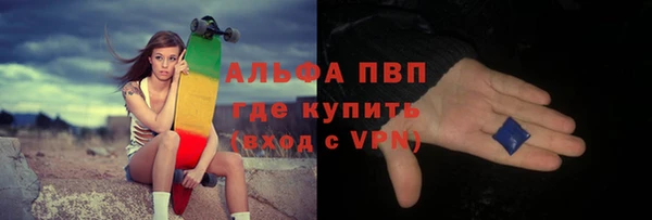 стаф Кодинск