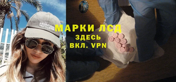 стаф Кодинск