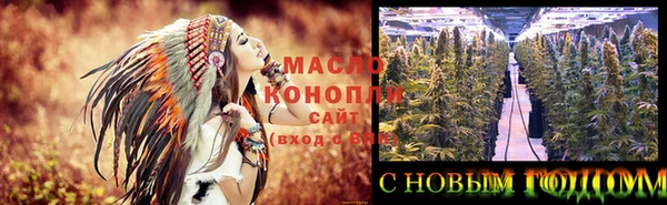 стаф Кодинск