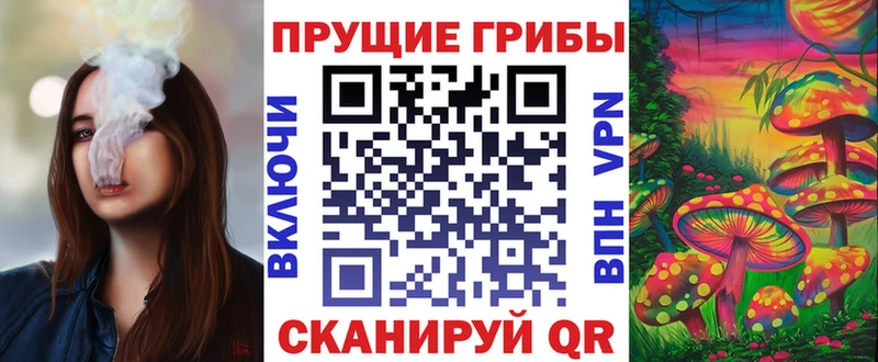 наркотики  Кочубеевское  Галлюциногенные грибы мицелий 